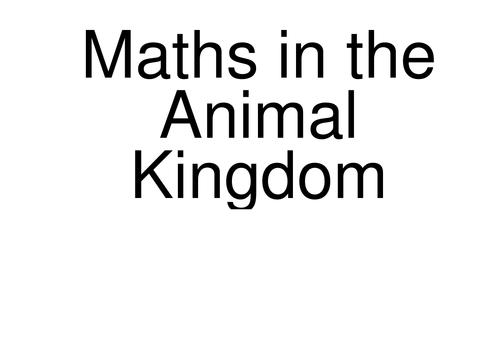 Maths in the animal kingdom display