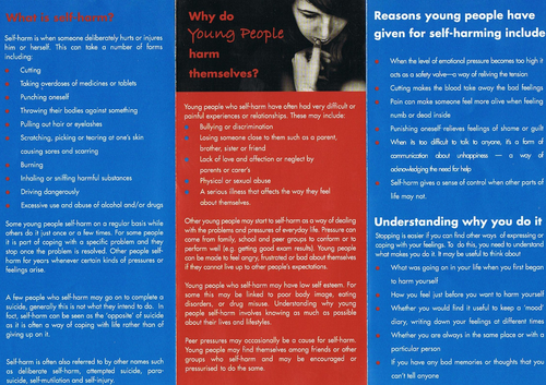 Book - Mental health : self harming | Teaching Resources