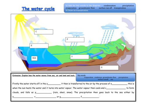 What Is The Water Cycle Teaching Resources