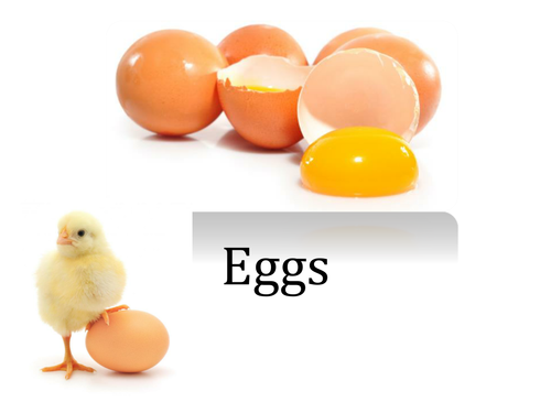 Egg Theory - ASN & Early Years