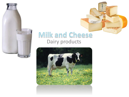Milk and Cheese - Dairy Products