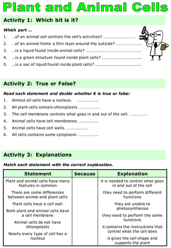 KS3 Revision - Animal, Plant & Specialised Cells