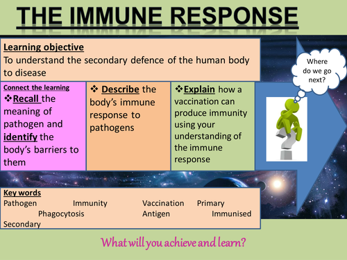 B1 Immune repsonse and vaccination