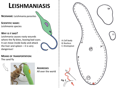 Leishmania: Crafty Critter Pattern
