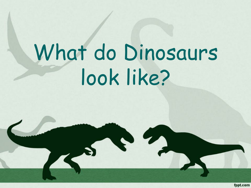 Dinosaur Information Text
