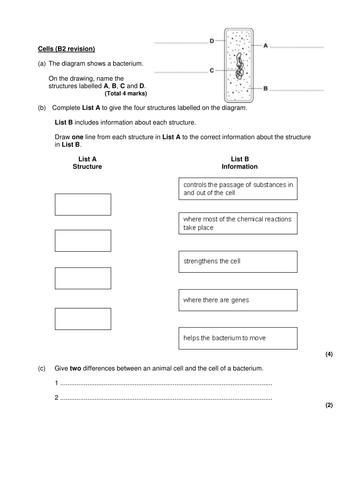 B2 revision notes and exam questions packs