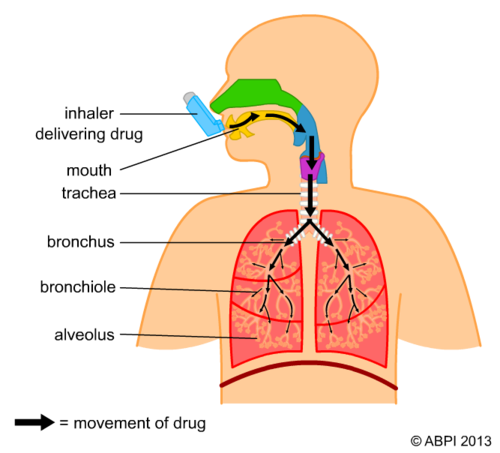 Asthma & Inhalers
