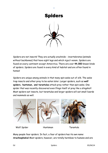 Spiders Information and Worksheet