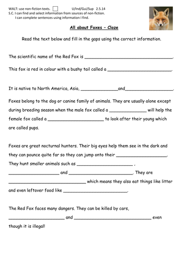 Nocturnal Animals Cloze Procedure