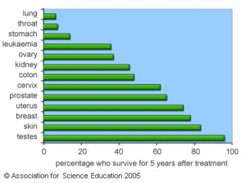 Cancer Survival Graph | Teaching Resources