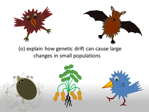 Genetic Drift