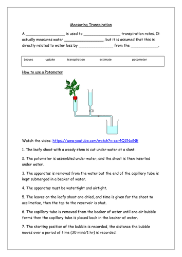 How to Measure Transpiration