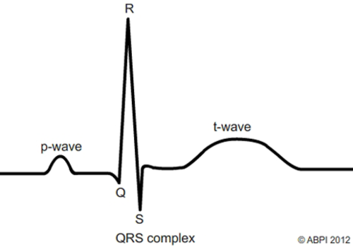 Heart Beat