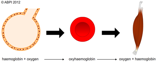 Oxyhaemoglobin