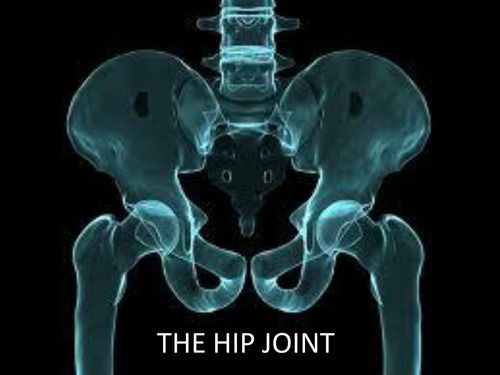 assignment on hip joint