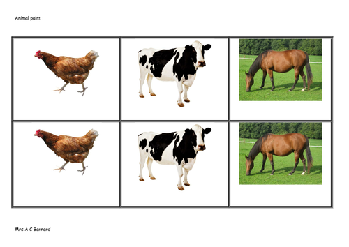 Pairs games (animals,colours,shape and food)