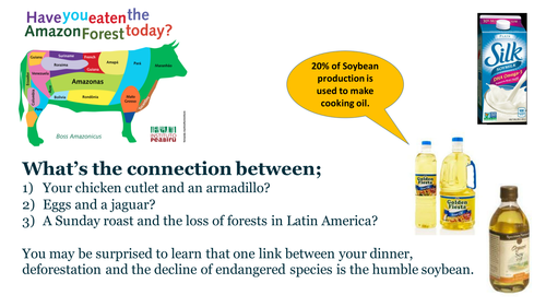 Soybean-Environmental effects of increased demand