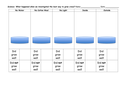 Science - Growing Cress Investigation