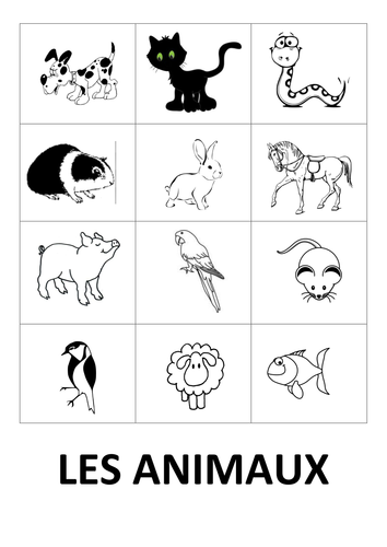 Pets in French Les Animaux