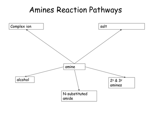 Amines reaction pathways learning game
