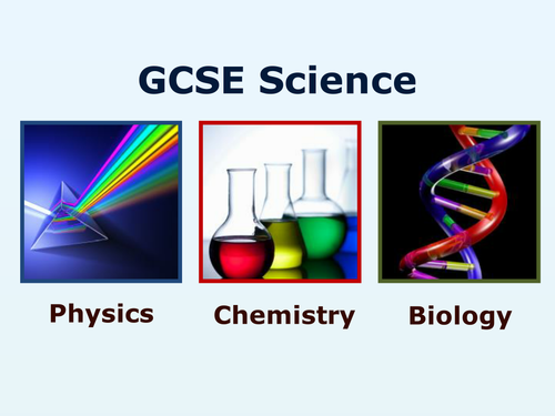 AQA-B1-Revision quiz