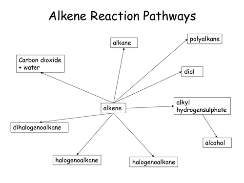 Alkenes reaction pathways learning game