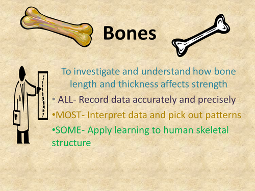 bones and strength activity