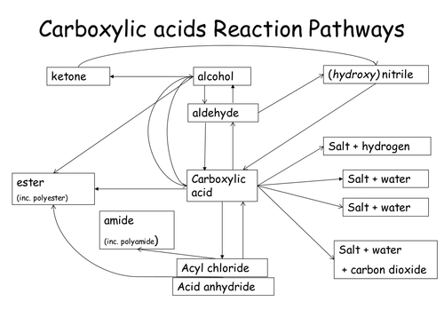 Carbonyls and acids reaction pathways