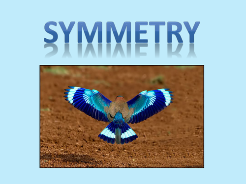 Symmetry Activities