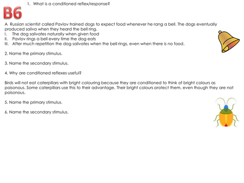 OCR C21st science B6 revision tasks - Brain & Mind