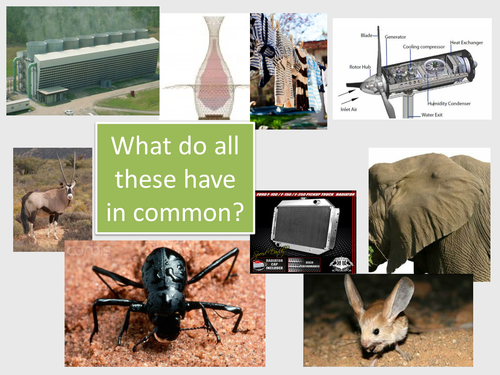 Evaporation and Condensation