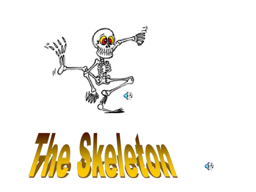 Skeletons, bones and joints