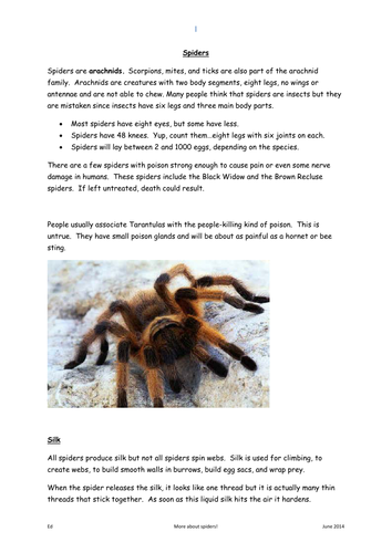 Spider Comprehension