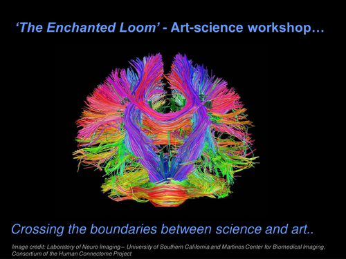 Cross-Curricular Workshop on Cells & the Brain KS5