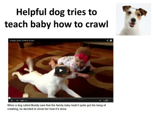 Helpful dog tries to teach baby how to crawl