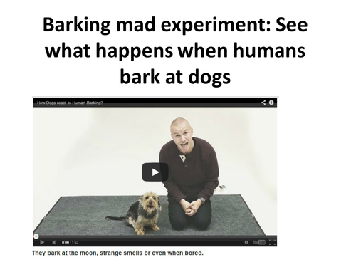 Barking mad experiment