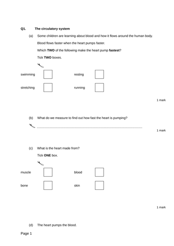 CIrculation - Levelled SATs questions