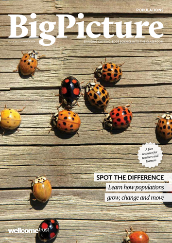 Big Picture - Populations Issue