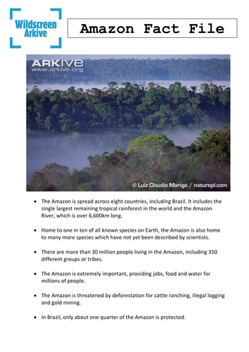 Brazil and the Amazon - Wildlife Film Script