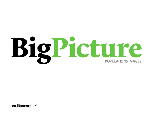 Big Picture: Populations images