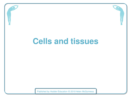 The structure of a cell sample lesson