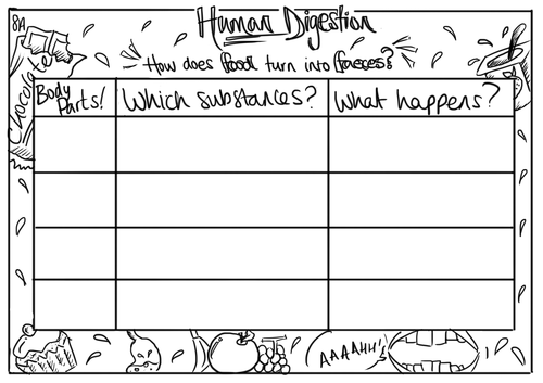 Digestion Demonstration Worksheet