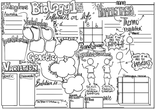Classification, Homeostasis, Genetics Poster Bio 1