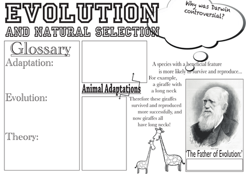 Evolution and Natural Selection Poster