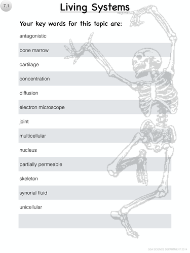 KS3 A5 Keywords sheets for pupils books