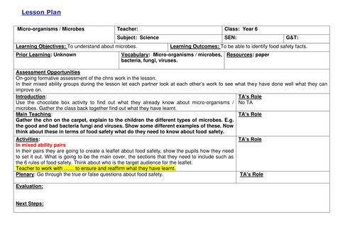Microorganisms / Microbes lesson Yr 5/6