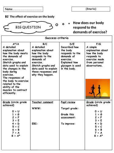 B2 the effect of exercise on the body