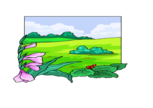 JÌnbù 2 Chapter 1 Unit 3: I like the seaside