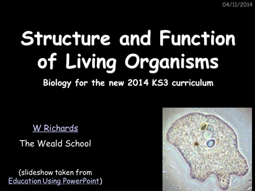 New 2014 KS3 - Structure and Function