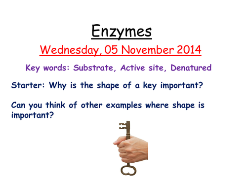 Introduction to enzymes